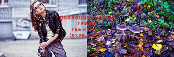 apvp Красноперекопск
