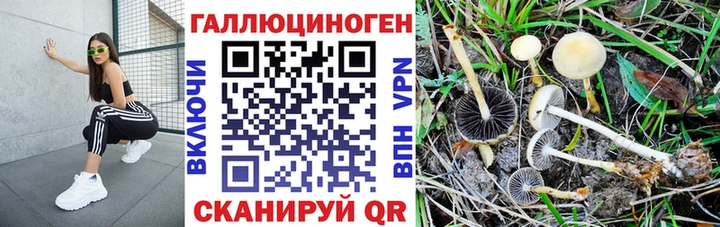 Купить где  Бобров  Галлюциногенные грибы Magic Shrooms 